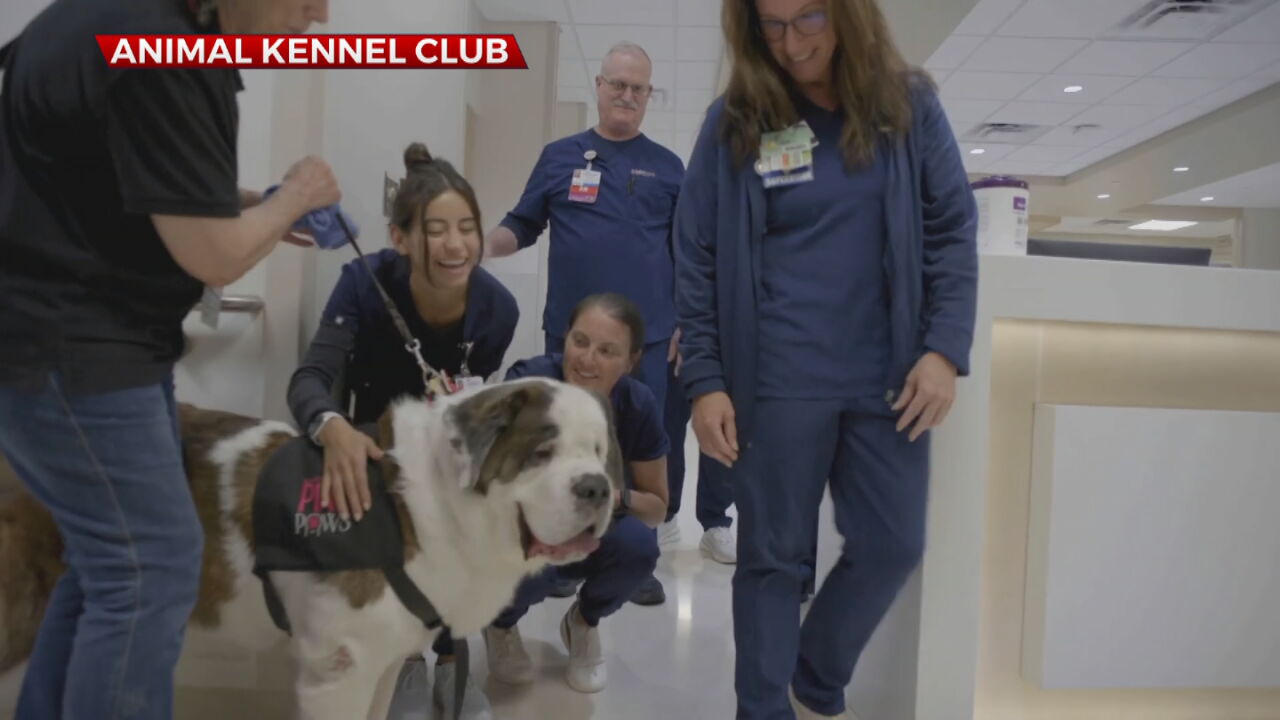 'She's A Blessing' Tulsa Therapy Dog Wins National Award
