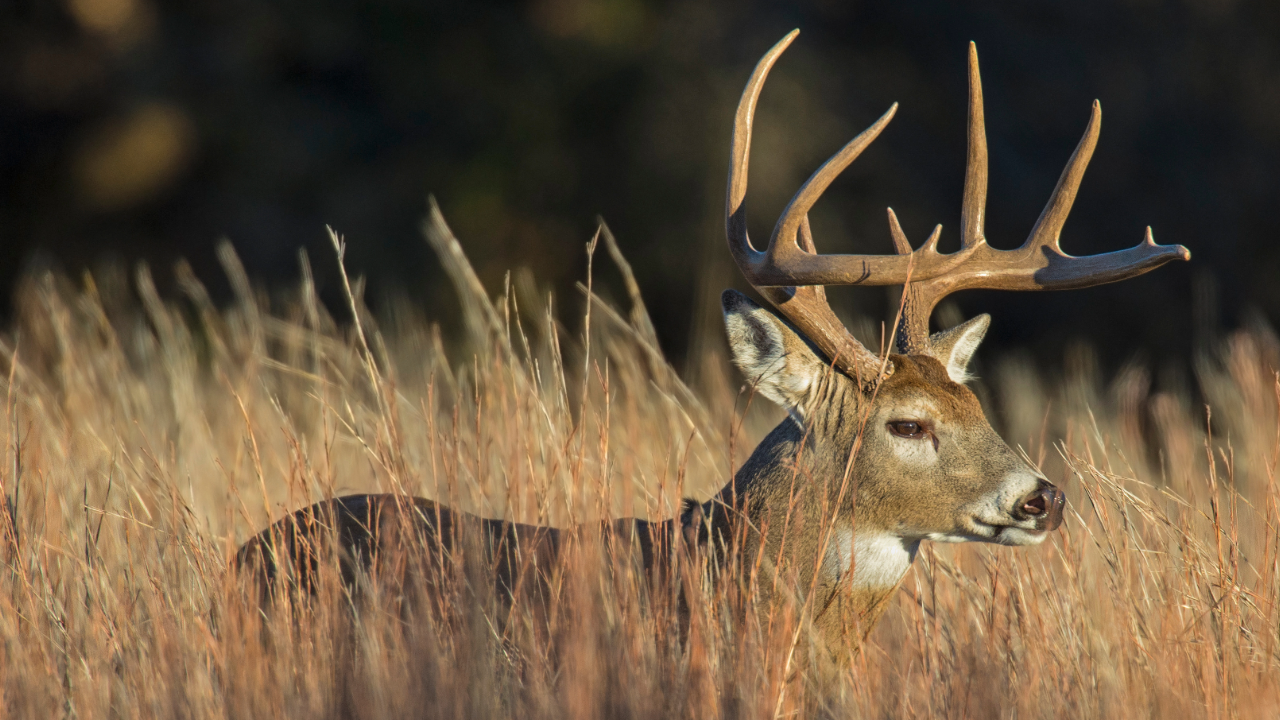 Oklahoma Tribes and State clash over hunting and fishing rights