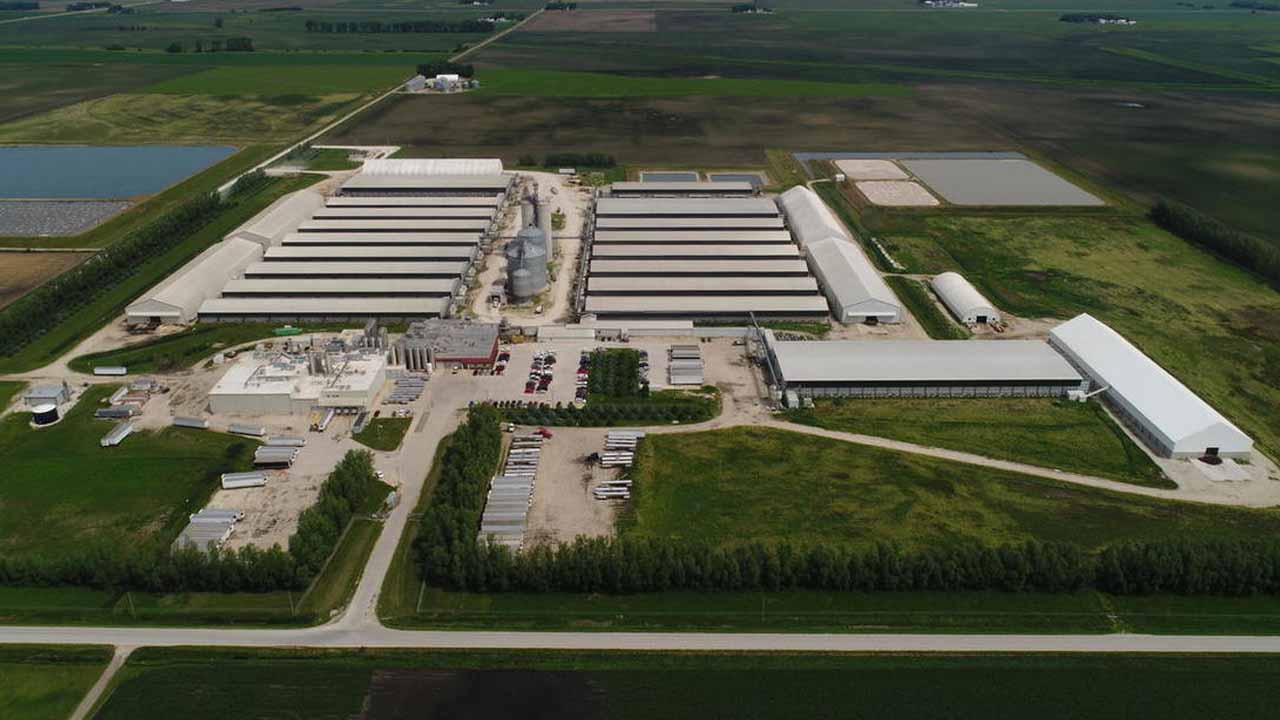 Egg-Laying Facility In Iowa Kills 5.3 Million Chickens, Fires 200-Plus  Workers